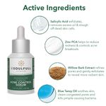 Buy Be Soulfull Acne Control Serum with 2% Salicylic Acid, 1% Zinc PCA, Willow Bark Extract & Blue Tansy Oil | Exfoliates, Hydrates, Treats Active Acne & Hyperpigmentation, Calms Inflammation - Purplle