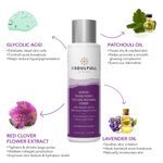 Buy Be Soulfull CLEAN & BRIGHT Facial Cleanser & Refining Toner | Deep cleanses, Fights Hyperpigmentations, Unclogs Open Pores & Controls Acne - Purplle