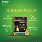 Buy Garnier Black Naturals Shade 2 20g + 20ml - Purplle