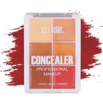 Buy s.f.r color Professional Makeup 6 Color Concealer Pallete (16.8g) 7324-01 - Purplle