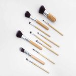 Buy Bronson Professional Super Soft bristles HD finish Bamboo 11 pc makeup brush set with pouch - Purplle