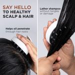 Buy Pee Safe Sclap Massager | Shampoo & Conditioner Massager | Exfoliating with scalp care | Soft Silicone Bristles | Reduces Dandruff | Improves Blood Circulation | 1 N - 1 Pc - Purplle