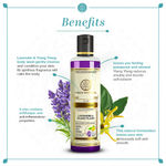 Buy Khadi Natural Lavender & Ylang Ylang Body Wash| SLS & Paraben Free - (210ml) - Purplle
