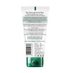 Buy Biotique Advanced Organics Tea Tree Skin Clearing Facial Wash (150 ml) - Purplle