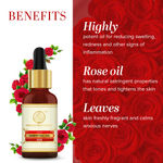 Buy Khadi Natural Rose Essential Oil| Hydrates Skin (15 ml) - Purplle