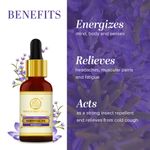 Buy Khadi Natural Rosemary Essential Oil| Prevent Hair Fall - (15ml) - Purplle