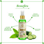 Buy Khadi Natural Mint and Cucumber Herbal Face Freshner Spray| Instant Skin Booster - (100 ml) - Purplle