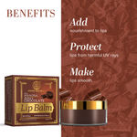 Buy Khadi Natural Chocolate Herbal Lip Balm With Beeeswax & Honey| Soften & Moisturize - (5 gm) - Purplle