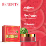 Buy Khadi Natural Lip balm Watermelon with Beeswax & Honey - (5gm) - Purplle