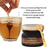 Buy Vigini Hammer King Pure Premium Best Original Shilajit / Shilajeet Gold Resin 20g | 60% Fulvic Acid Long Time Sexual Increase Energy Strength Stamina Power Performance Vitality Testosterone Booster Men - Purplle