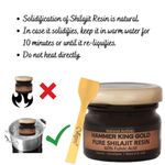 Buy Vigini Hammer King Pure Premium Best Original Shilajit / Shilajeet Gold Resin 20g | 60% Fulvic Acid Long Time Sexual Increase Energy Strength Stamina Power Performance Vitality Testosterone Booster Men - Purplle