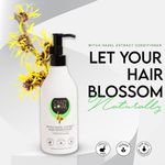 Buy CRAZY OWL Witch Hazel Extract Hair Conditioner- Protects and Hydrates - Purplle