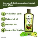 Buy Bajaj Brahmi Amla Hair Oil 300ml - Purplle