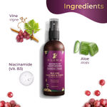 Buy Pilgrim Red Vine Youthful Glowing Skin Regime | Glowing & Clear Skin (Pack of 2) - Purplle