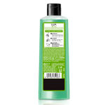 Buy LUX Shower Gel, Freesia Scent & Aloe Vera Bodywash, 245 ml - Purplle