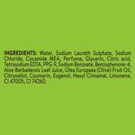 Buy Pears Naturale Detoxifying Aloevera Bodywash (250 ml) - Purplle
