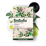 Buy Indalo Natural Hair Colour, Soft Black, No Ammonia, No PPD, No Peroxide, for Conditioning scalp and Hair Growth, for Men and Women (100g) - Purplle