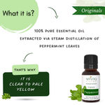 Buy Mystiq Living Peppermint Essential Oil (15 ml) Pepper Mint Essential oil, Peppermint Oil for Skin & Hair, 100% Pure, Natural & Undiluted Therapeutic Grade Oil For Hair Growth, Skin, Face - Purplle