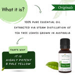 Buy Mystiq Living Tea Tree Essential Oil (15 ML) For Skin & Hair, Pure Australian Tea Tree Oil For Hair, Scalp, Face Care, Acne & Pimples, 100% Pure, Natural & Undiluted Essential Oil - Purplle