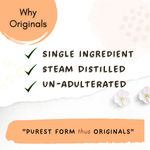 Buy Mystiq Living Originals - Rose Water (Gulab Jal) Spray, Pure & Natural Hydrosol For Skin, Hair & Face | 100ML - Purplle