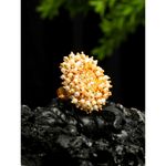 Buy YouBella Gold-Plated & Yellow Pearl Beaded Finger Rings - Purplle