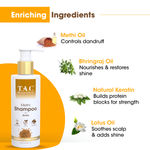 Buy TAC - The Ayurveda Co. Methi Shampoo with Amla Hair Fall & Dandruff Control, 250ml - Purplle