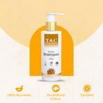 Buy TAC - The Ayurveda Co. Methi Shampoo with Amla Hair Fall & Dandruff Control, 250ml - Purplle