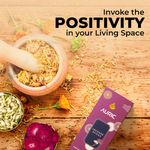 Buy Auric Bamboo less Dhoop Sticks (20 Natural Incense Sticks) made from Temple Flowers - Purplle