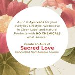 Buy Auric Bamboo less Dhoop Sticks (20 Natural Incense Sticks) made from Temple Flowers - Purplle