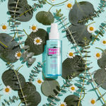 Buy Wet n Wild Fight Dirty Clarifying Setting Spray 65 ML - Purplle
