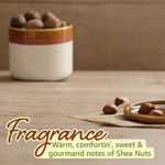 Buy Plum BodyLovina€™ Shea Got It Body Oil | Normal to Dry Skin | Deep Moisturization | Instant Glow - Purplle