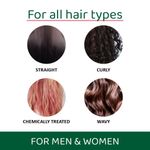 Buy Rey Naturals Onion Ginseng Hair Serum for Hair fall Defense | With Natural Actives | Paraben and Sulphate Free | For Frizz-free Hair with Extra Shine | 100 ML - Purplle