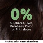 Buy Rey Naturals Avocado Shampoo to Repair Damaged Hair|Natural Actives|Paraben and Sulphate Free | For Smooth Hair | Reduces Frizzy Hair & Dryness | Suitable for Men and Women | 300 ML - Purplle