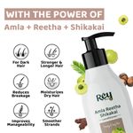 Buy Rey Naturals Amla Reetha Shikakai Hair Conditioner for Strong & Long Hair | Paraben & Sulphate Free | Fights Dry & Frizzy Hair | Deep Conditioner for Dry Hair| Suitable for Men & Women | 250 ML Visit the Rey Naturals Store - Purplle