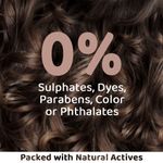 Buy Rey Naturals Amla Reetha Shikakai Hair Conditioner for Strong & Long Hair | Paraben & Sulphate Free | Fights Dry & Frizzy Hair | Deep Conditioner for Dry Hair| Suitable for Men & Women | 250 ML Visit the Rey Naturals Store - Purplle