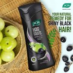 Buy Joy Hair Fruits Shining Black Revitalizing Amla & Black Grapes Shampoo 340 ml - Purplle