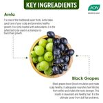 Buy Joy Hair Fruits Shining Black Revitalizing Amla & Black Grapes Shampoo 340 ml - Purplle