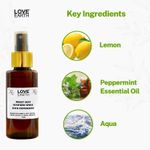 Buy Love Earth TOILET SEAT SANITIZER 100 ml - Purplle