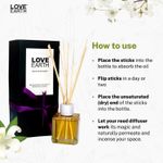 Buy Love Earth Reed Diffuser- Jasmine - Purplle