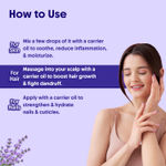 Buy Aravi Organic Lavender Essential Oil For Healthy Hair & Growth, Skin, Hair Fall Control and Sleep - 100% Pure, Natural and Undiluted - 15 ml - Purplle