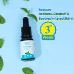 Buy Aravi Organic Peppermint Essential Oil for Skin & Hair | Promotes Hair Growth, Controls Hair Fall, Nourishes Scalp | 100% Pure, Natural & Undiluted | Soothes Irritation & Strengthens Roots | For Men & Women – 15 ml - Purplle