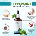 Buy Aravi Organic Peppermint Essential Oil For Skin & Hair Growth, Hair Fall Control, Scalp - 100% Pure & Natural and Undiluted - 15 ml - Purplle