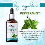 Buy Aravi Organic Peppermint Essential Oil For Skin & Hair Growth, Hair Fall Control, Scalp - 100% Pure & Natural and Undiluted - 15 ml - Purplle