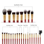 Buy DUcare Classic Red - 27 in 1 DUcare Makeup Brushes Set - DF2730 - Purplle