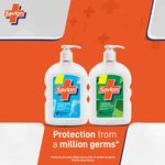 Buy Savlon Moisture Shield Germ Protection Liquid Handwash , 460 ml - Purplle