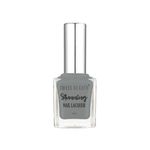 Buy Swiss Beauty Stunning Nail Lacquer 40 Charcoal (10 ml) - Purplle