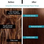 Buy Bare Anatomy Damage Repair Hair Mask | With Coconut Milk | Adds Shine & Strengthens Hair (250 gm) - Purplle