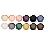 Buy Swiss Beauty Exclusive Eye Color Collection 12 Ultra Professional Eyeshadows - Multi-02 (10 g) - Purplle