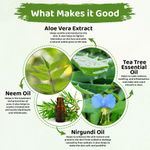 Buy Fantraa Neem & Aloe Vera Foaming Face Wash with Built-In Face Brush, (150 ml) - Purplle