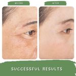 Buy Mystiq Living Specials - Timeless, Saffron Anti Aging Cream | With Ashwagandha, Collagen | Age Spot Removal, Wrinkle Control, Cell Regeneration | Ayurvedic Formulation With Vitamin C, 50GM - Purplle